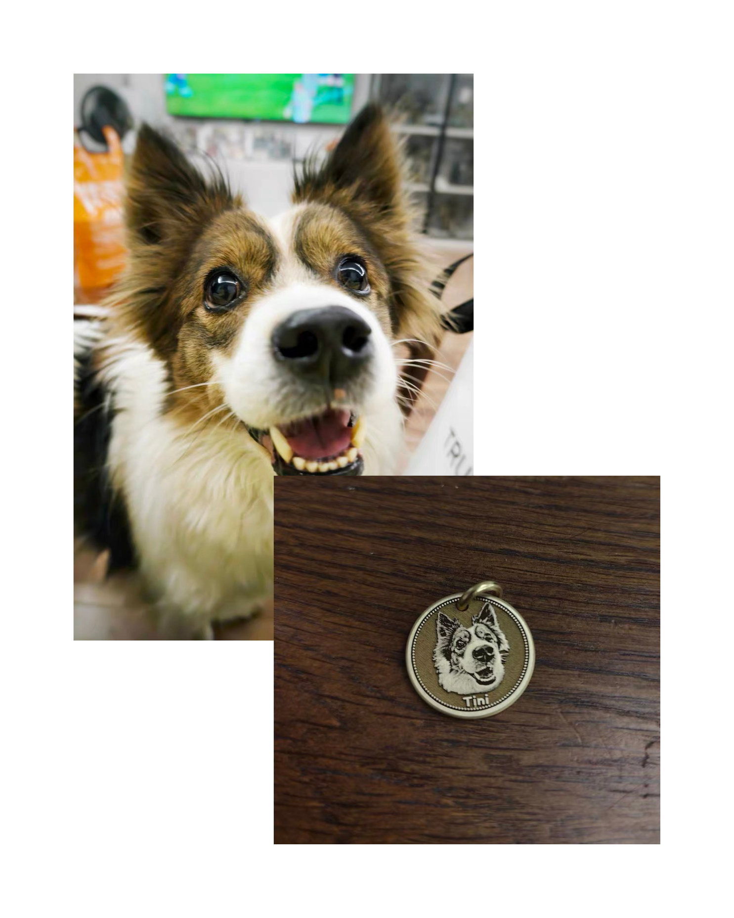 Custom Pet Tags Solid Copper Deep- Engraved Tag