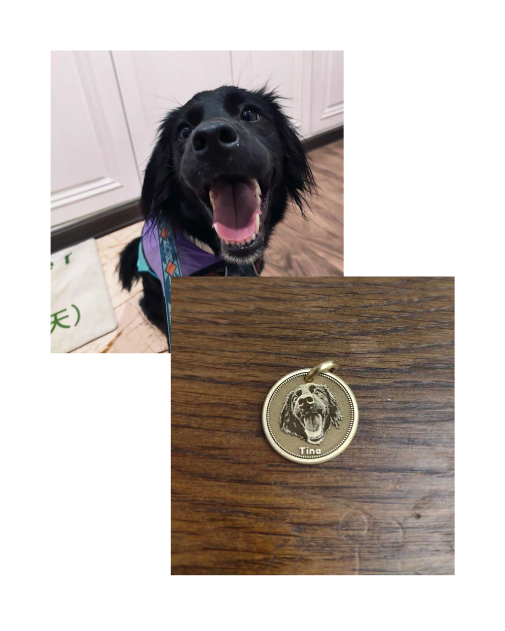 Custom Pet Tags Solid Copper Deep- Engraved Tag