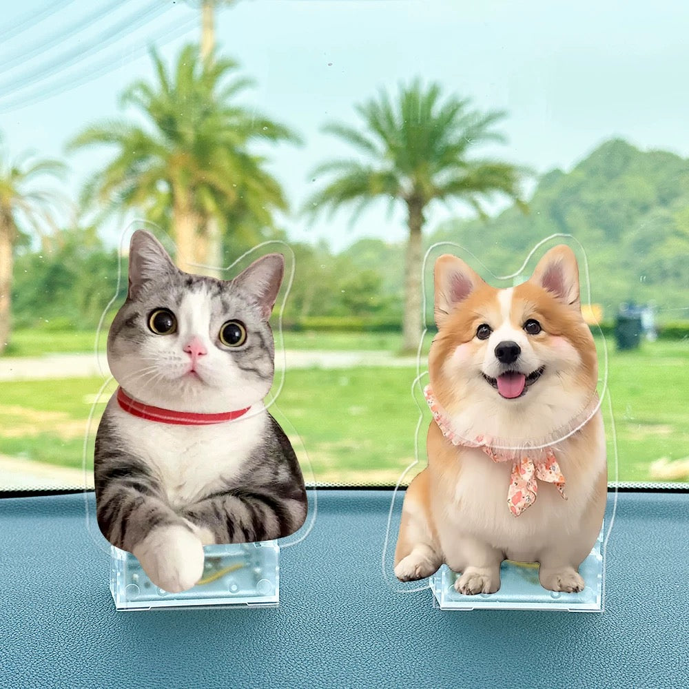 Custom Pet Photo Solar Acrylic Display | Dual Power (Solar & Battery)