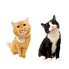 Custom Pet Photo Solar Acrylic Display | Dual Power (Solar & Battery)