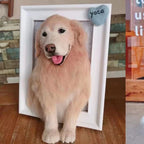 Custom 3D Pet Portrait Frame – Handmade Wool Felt Art