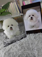 Custom Pet Wool Felt Replica – Handmade Pet Portrait Sculpture