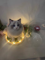 Custom Pet Wool Felt Replica – Handmade Pet Portrait Sculpture