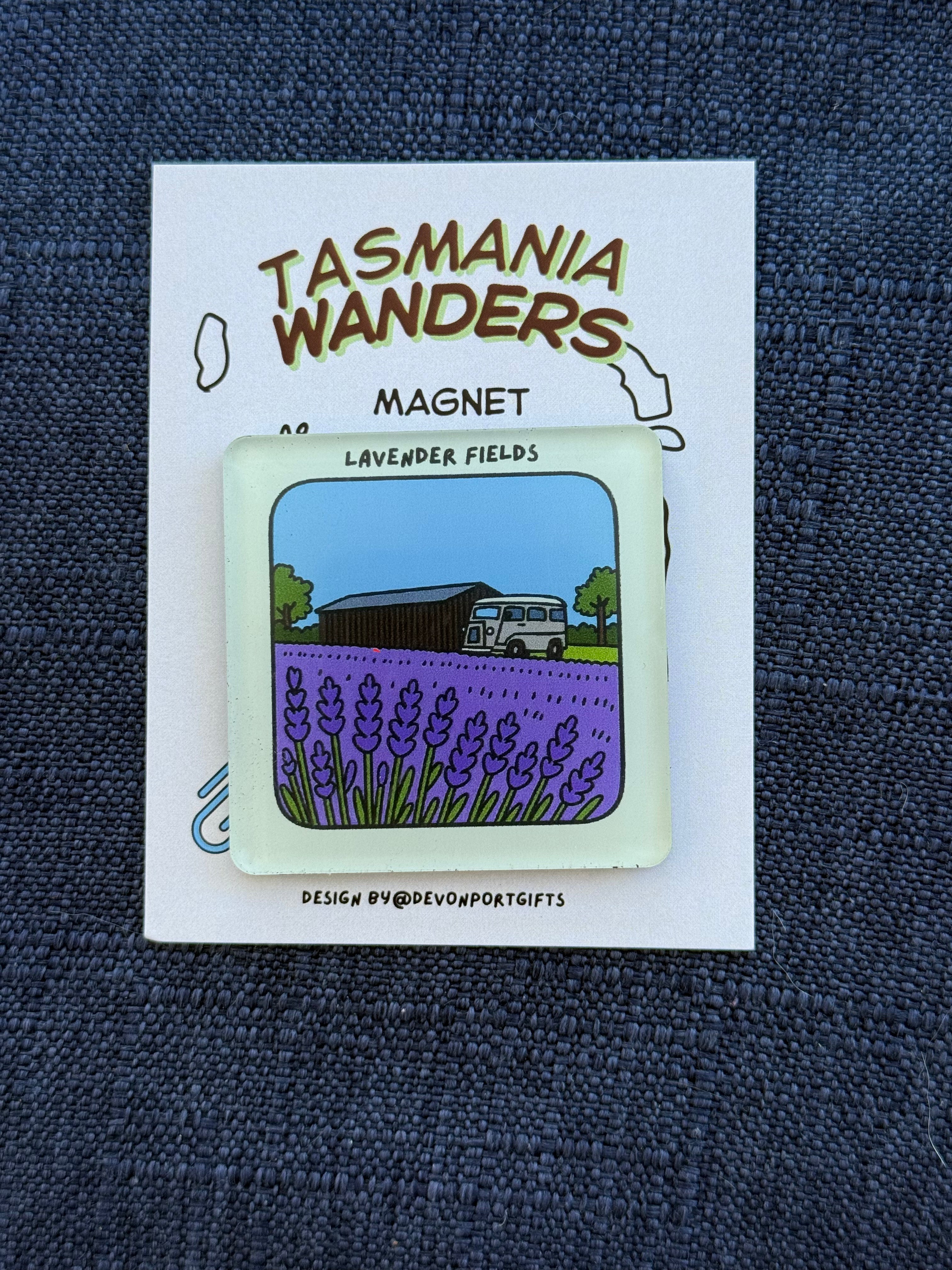 Lavender fields - Tasmania Wanders Magnets
