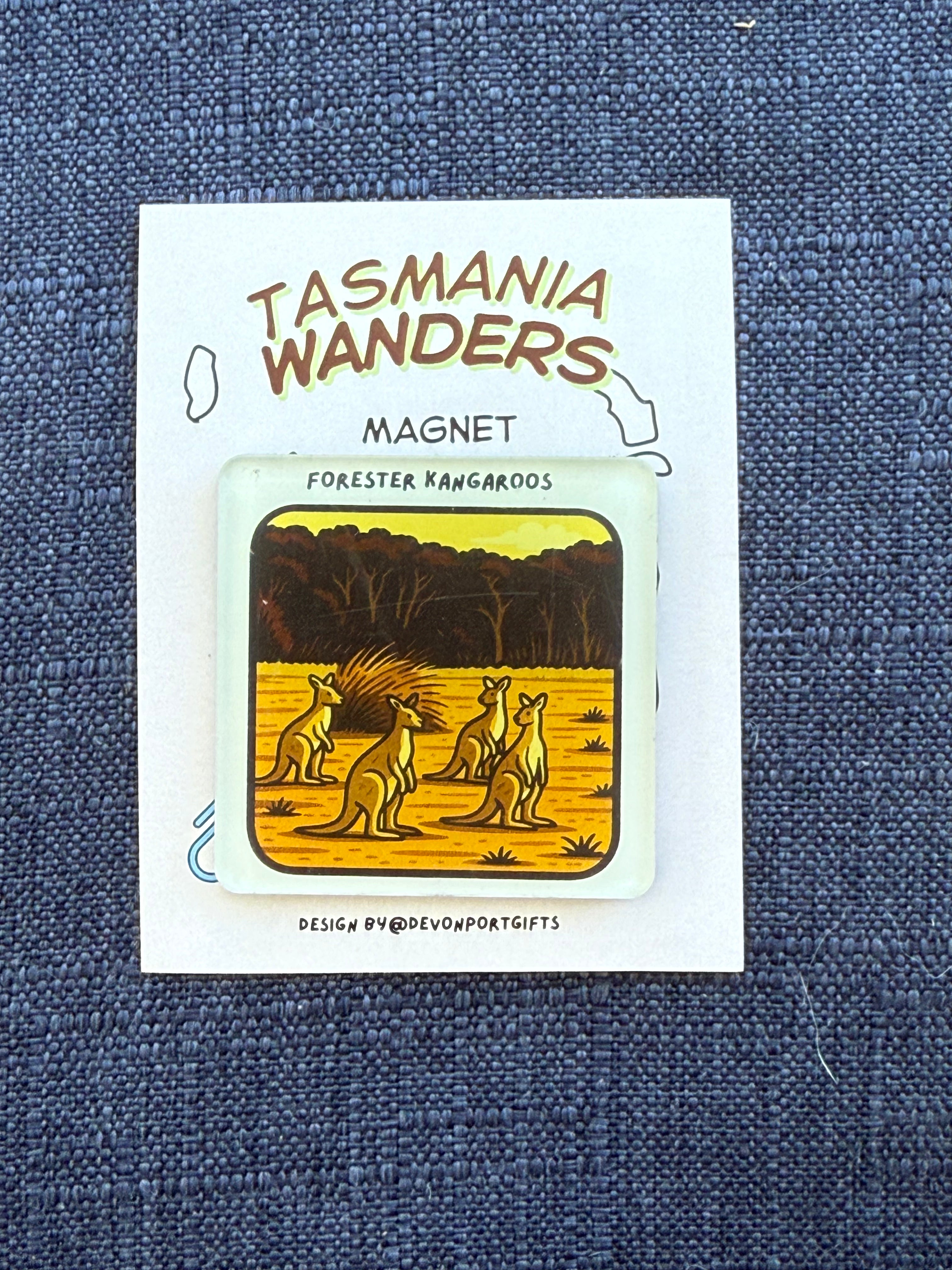 Forester kangaroos - Tasmania Wanders Magnets