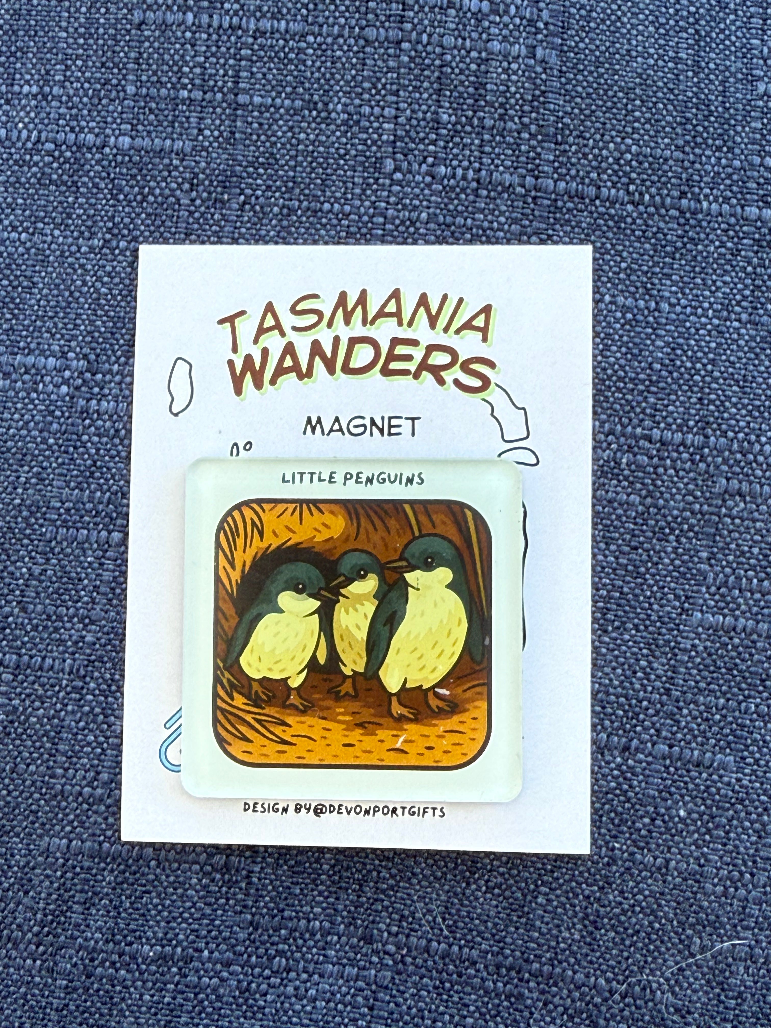 Little Penguin - Tasmania Wanders Magnets