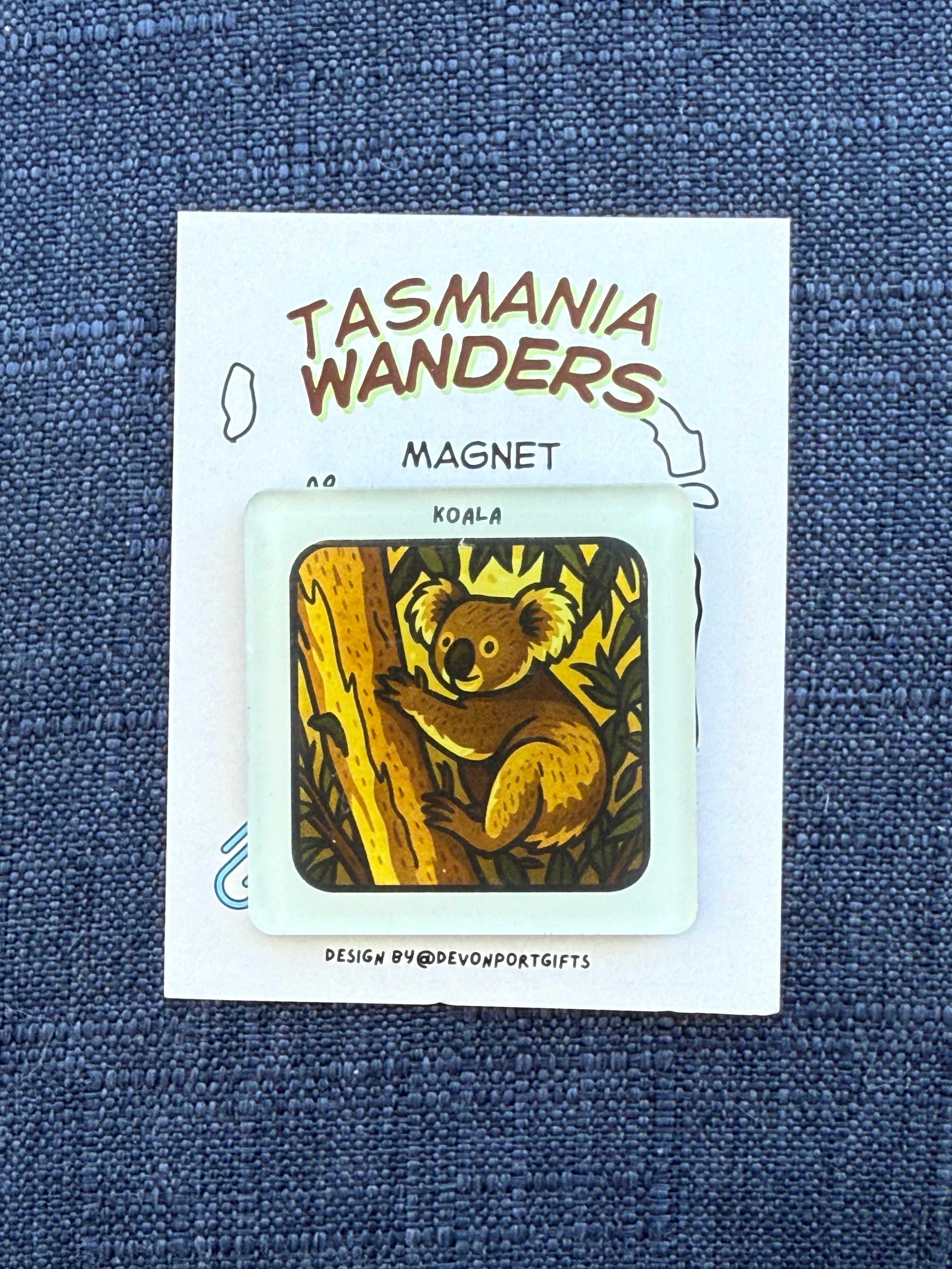 koala - Tasmania Wanders Magnets