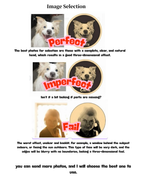 Custom Hand-Painted Pet Sculpture (From Your Photo)