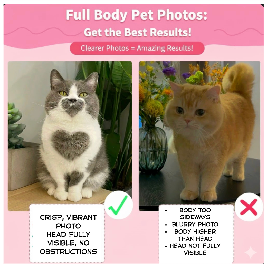 Custom Pet Photo Solar Acrylic Display | Dual Power (Solar & Battery)