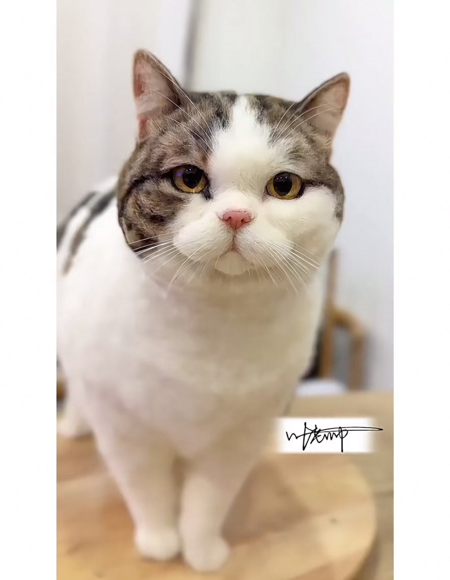 Custom Pet Wool Felt Replica – Handmade Pet Portrait Sculpture