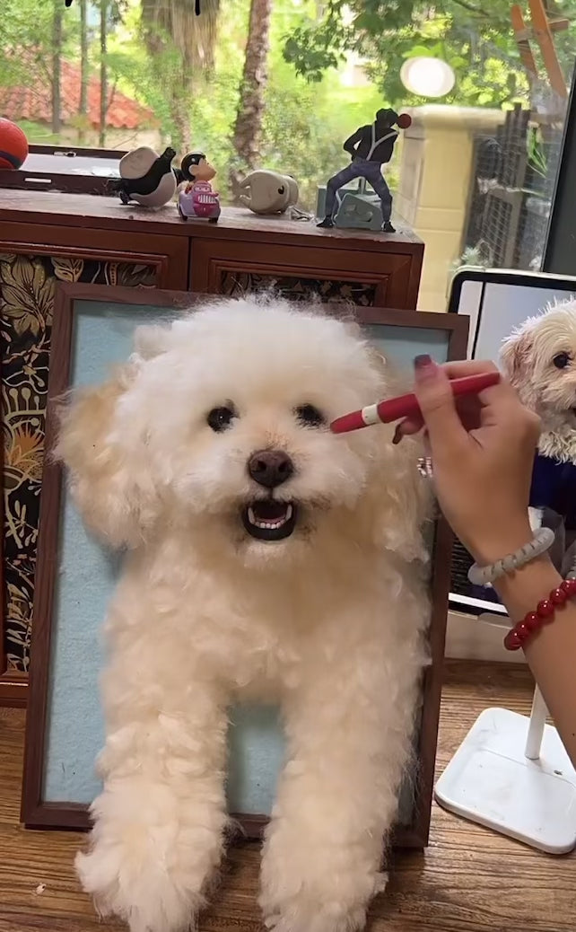 Custom 3D Pet Portrait Frame – Handmade Wool Felt Art