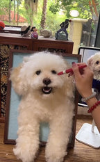 Custom 3D Pet Portrait Frame – Handmade Wool Felt Art