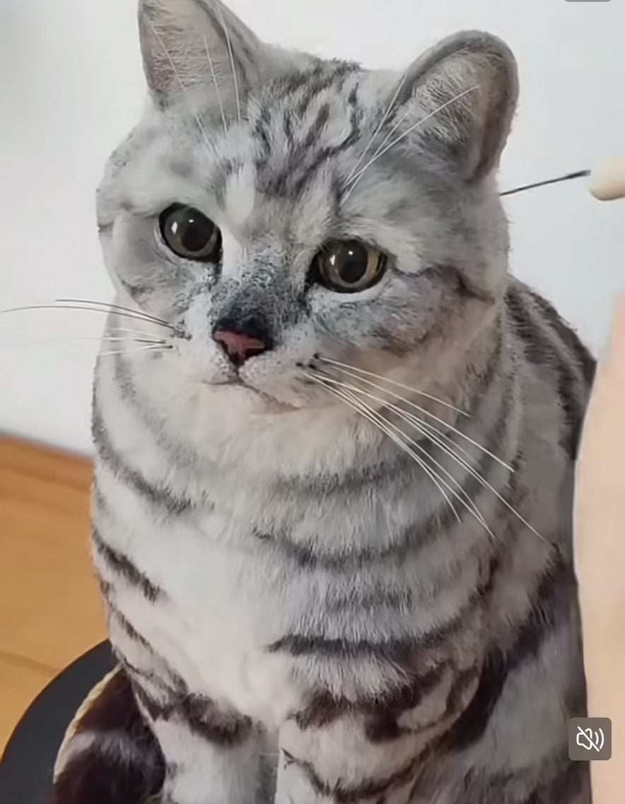 Custom Pet Wool Felt Replica – Handmade Pet Portrait Sculpture