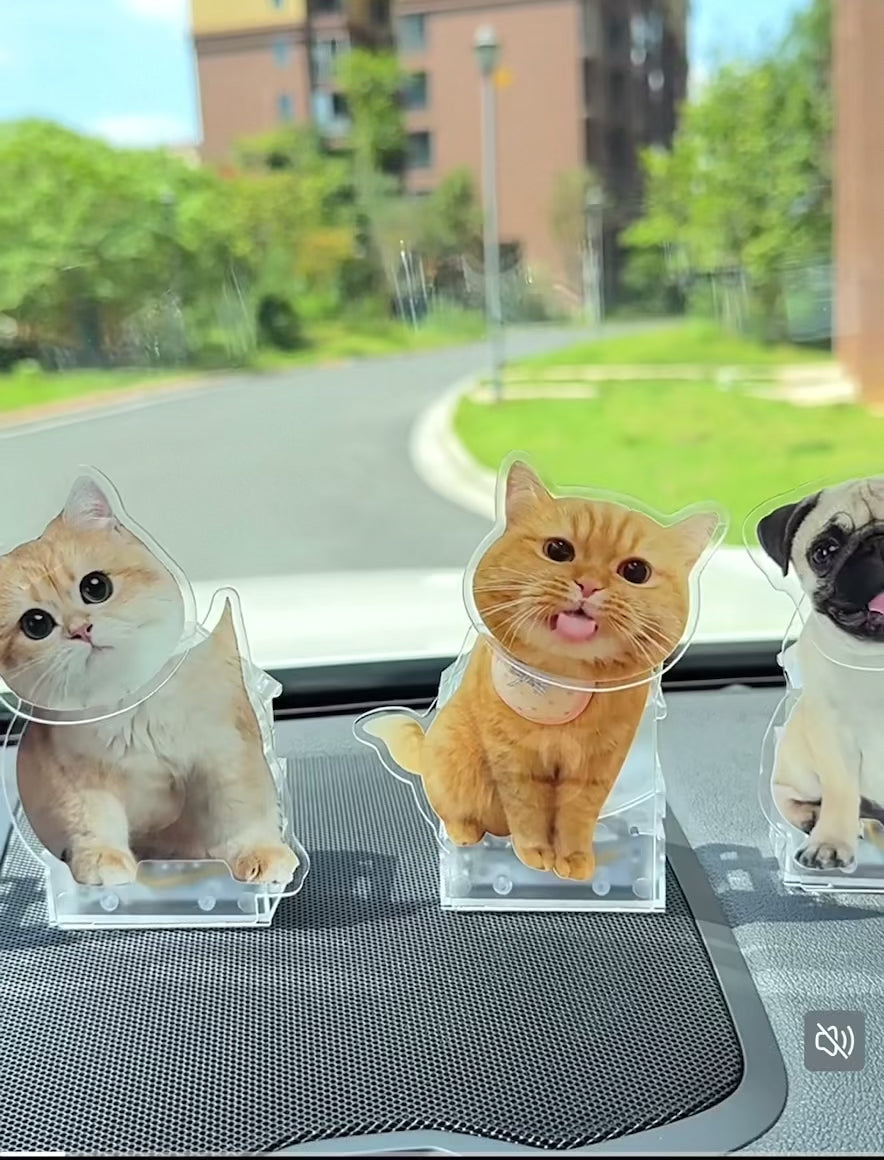 Custom Pet Photo Solar Acrylic Display | Dual Power (Solar & Battery)