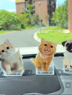 Custom Pet Photo Solar Acrylic Display | Dual Power (Solar & Battery)