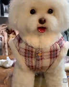 Custom Pet Wool Felt Replica – Handmade Pet Portrait Sculpture