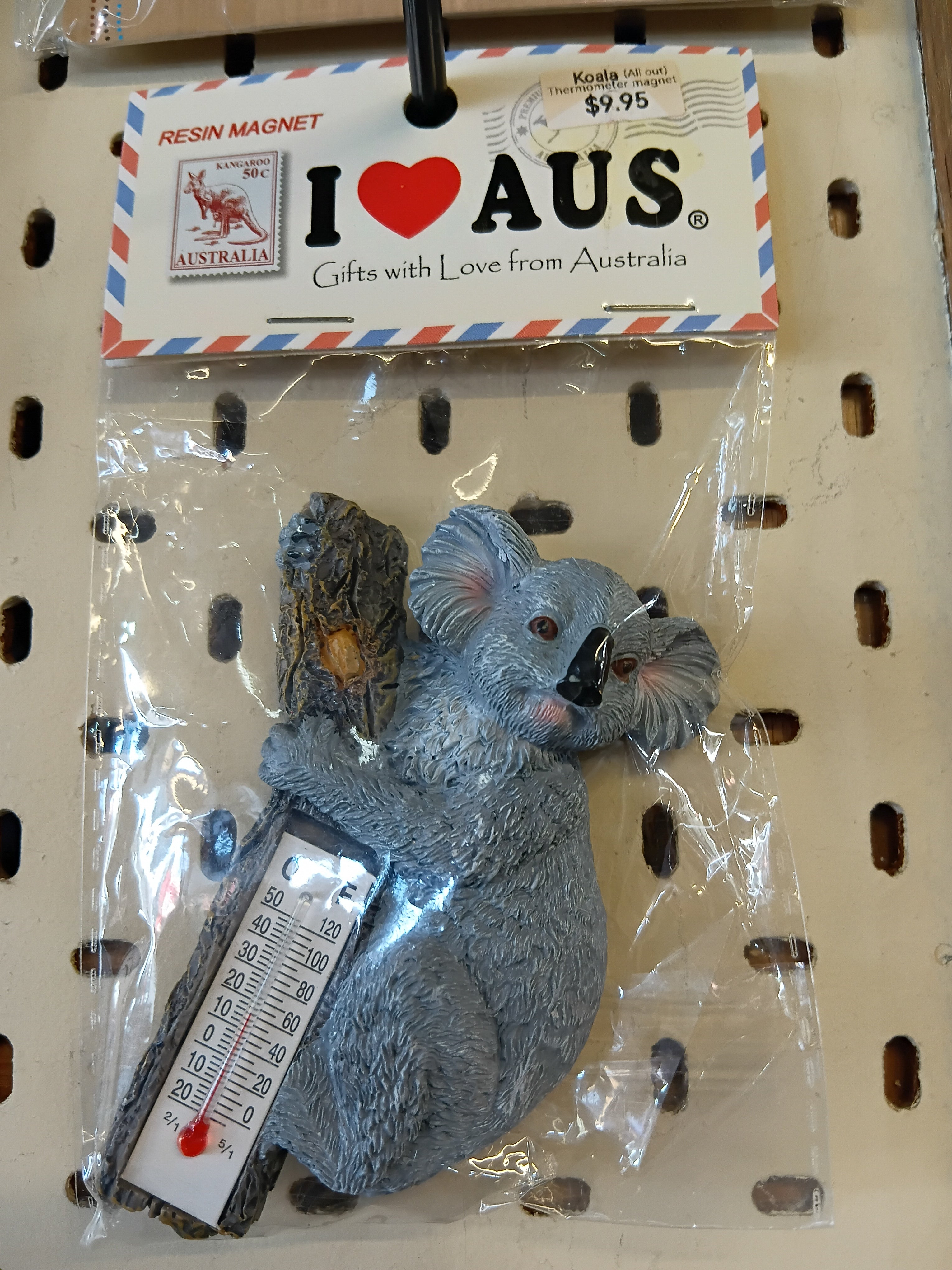 Australian Koala Thermometer souvenirs
