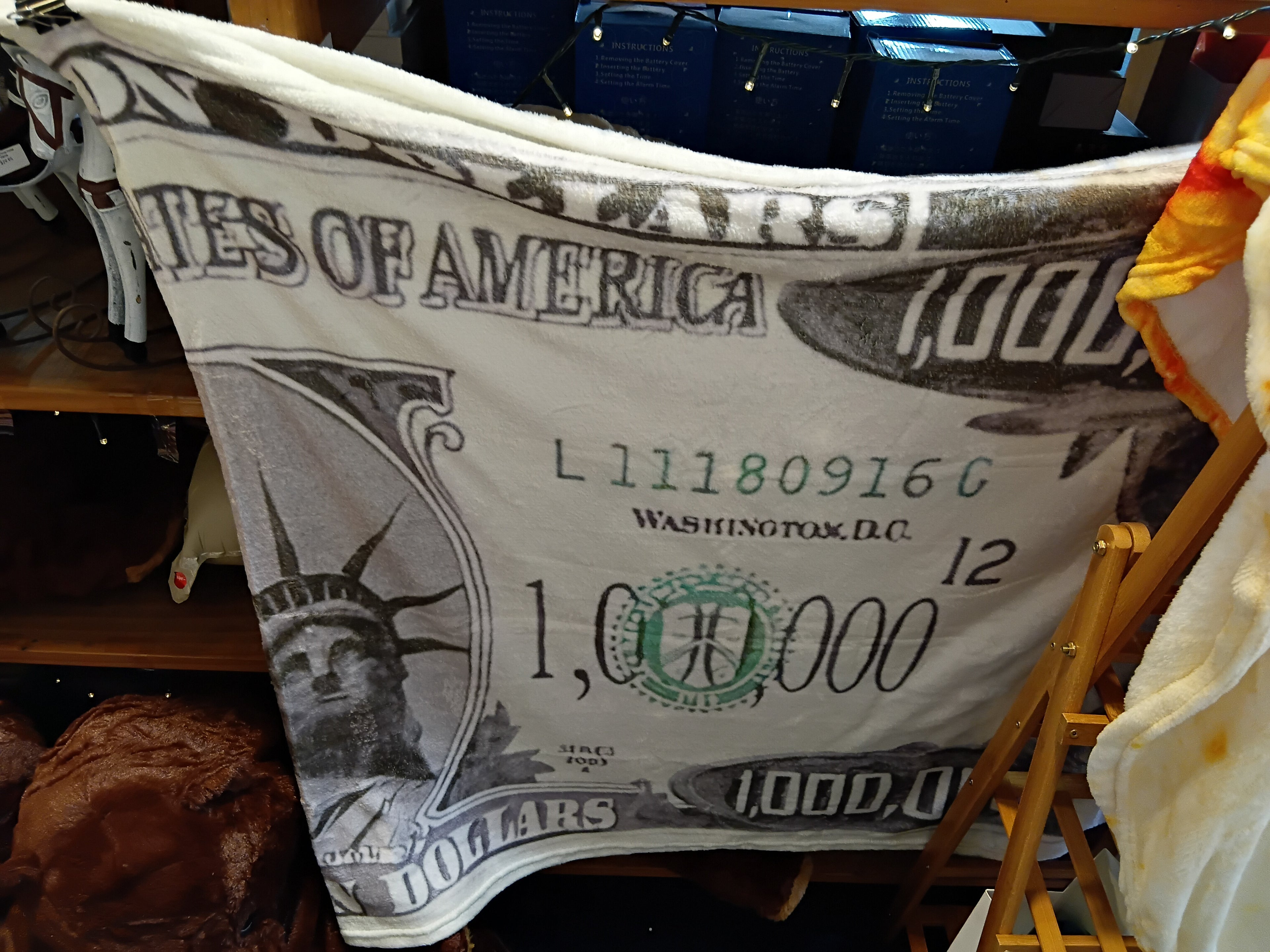 USD Million Blanket Funny Money Blanket for the Rich-at-Heart 💵