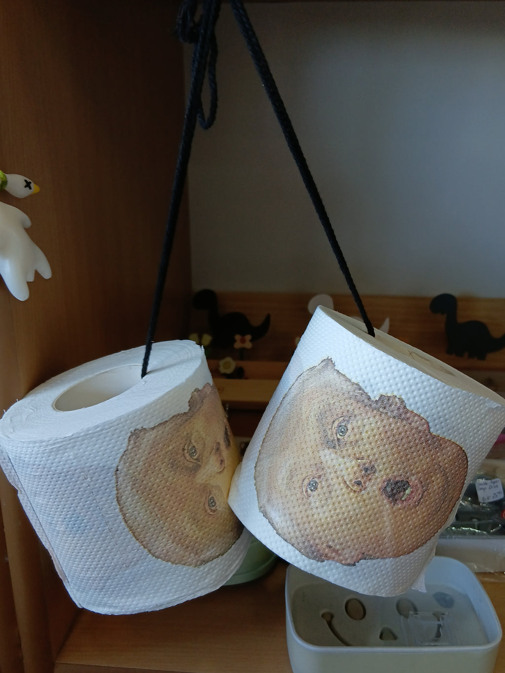 USA Trump Toilet Paper | Funny Gag Gift 🇺🇸🧻