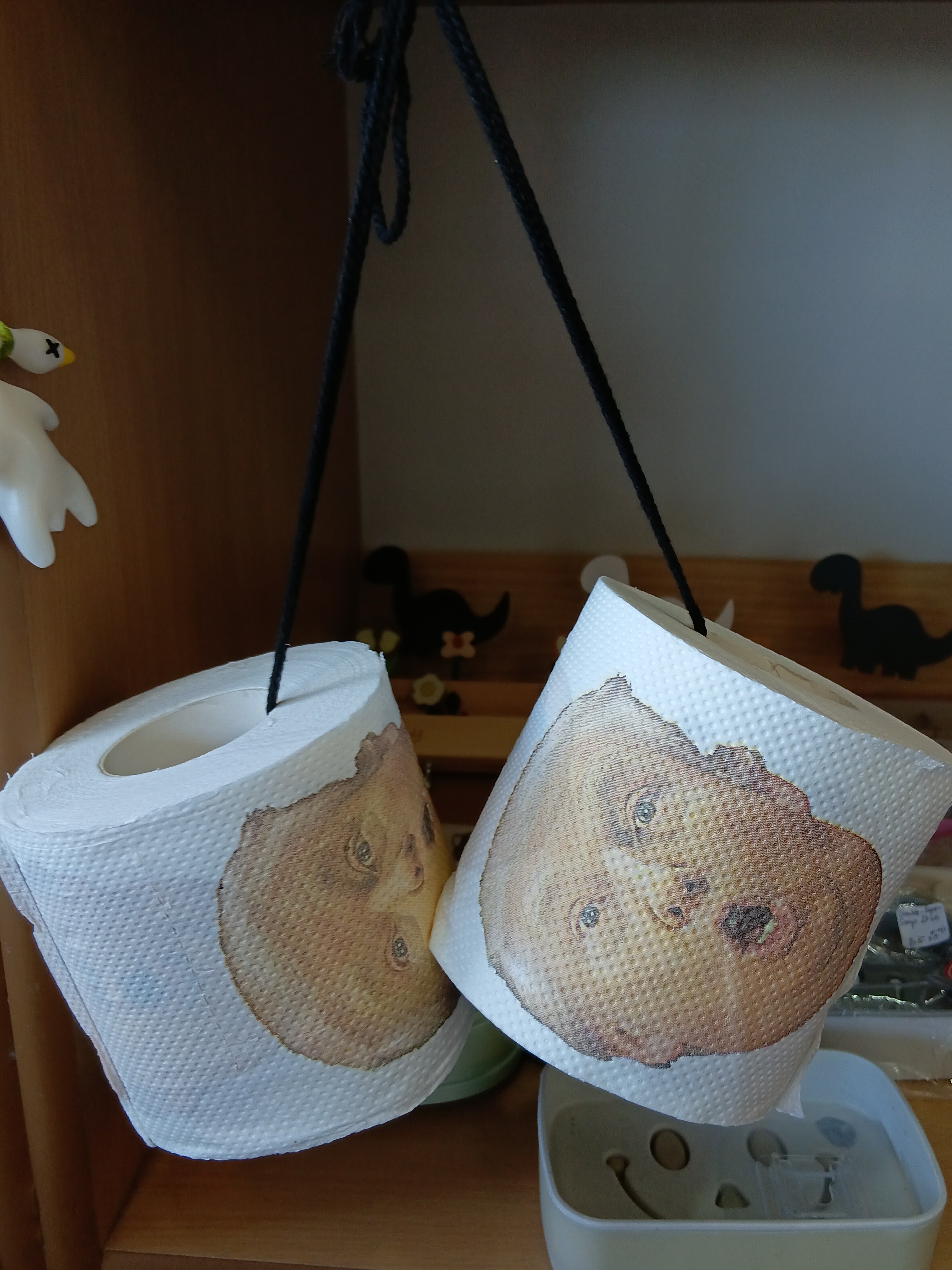 USA Trump Toilet Paper | Funny Gag Gift 🇺🇸🧻