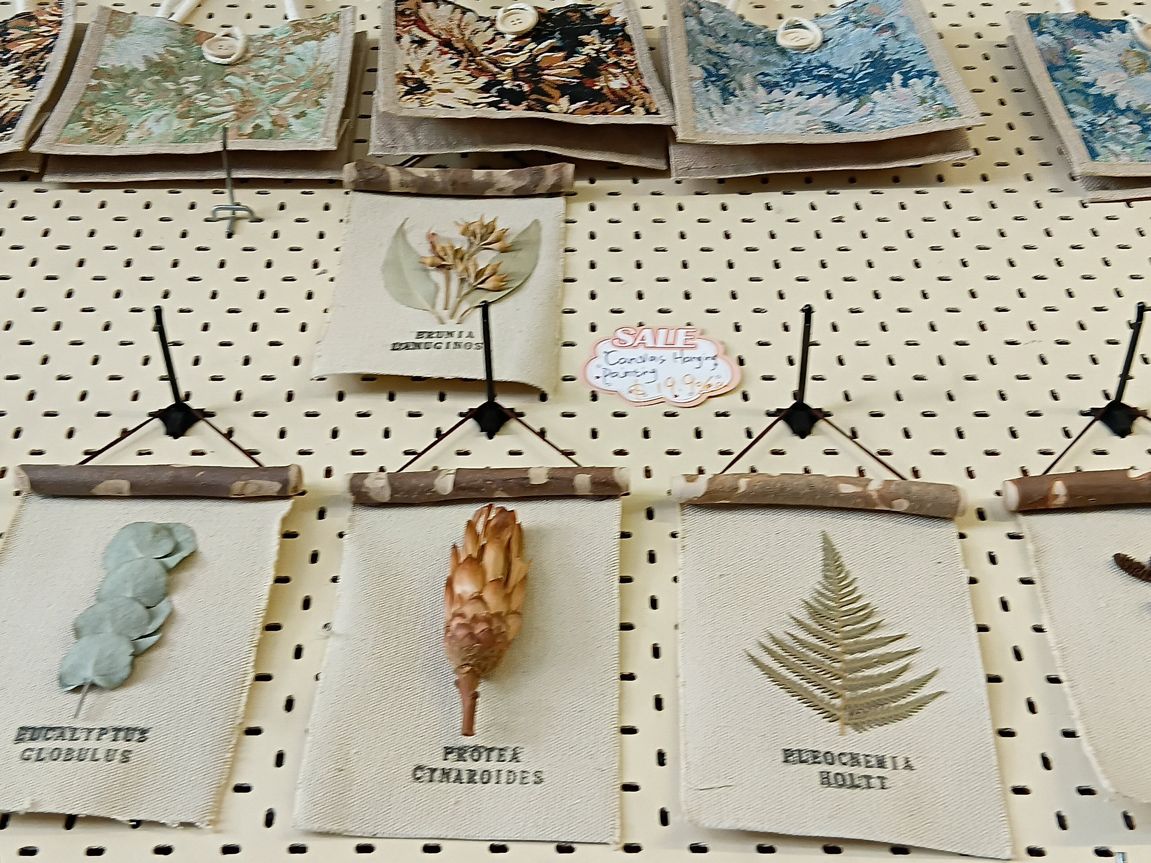 Dry-Up Plant Wall Hanging | Natural Wall Decoration 🌿